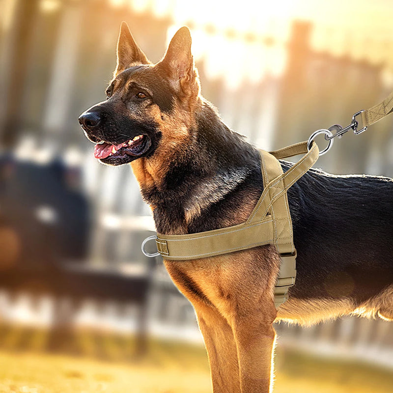 No Pull Dog Harness — Soft, Secure & Reflective Comfort for Every Walk