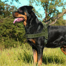 No Pull Dog Harness — Soft, Secure & Reflective Comfort for Every Walk