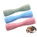 Dental Chew Stick – Soft Toothbrush Toy for Small Dogs & Puppies