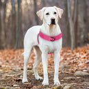 No Pull Dog Harness — Soft, Secure & Reflective Comfort for Every Walk
