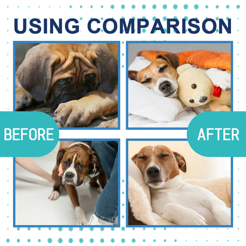 Calming Care Liquid helps soothe anxiety, reduce stress and promote relaxation in cats and dogs — naturally.