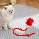 Smart Rolling Ball Cat Toy – Interactive Rechargeable Pet Toy
