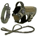 Tactical Harness Set includes a padded vest, leash and Molle pouches — perfect for training, walking and working dogs.