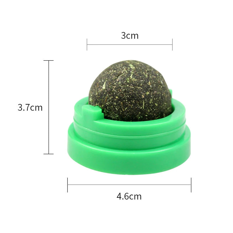 Catnip Wall Ball – Natural Stick-On Cat Toy & Digestive Treat (Cat Grass Snack)