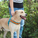 No Pull Dog Harness — Soft, Secure & Reflective Comfort for Every Walk