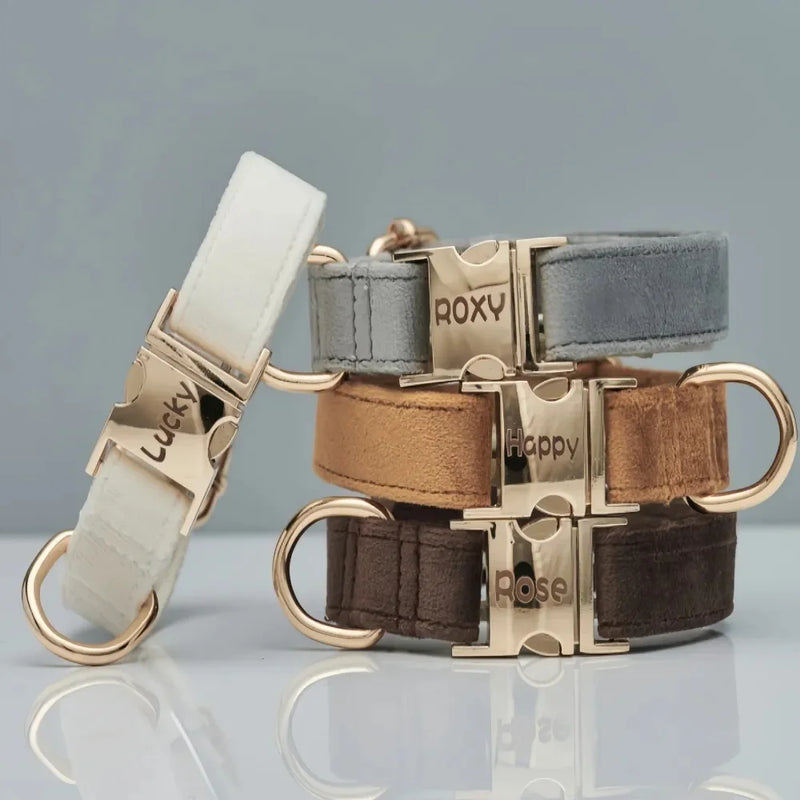 Luxury Velvet Dog Collar with Personalised Tag & Matching Leash