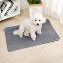 Reusable Dog Pee Pad – Washable, Waterproof & Absorbent Training Mat