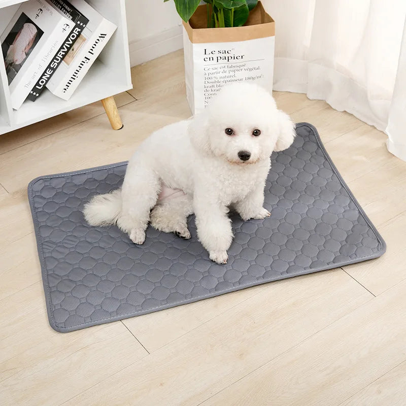 Reusable Dog Pee Pad – Washable, Waterproof & Absorbent Training Mat