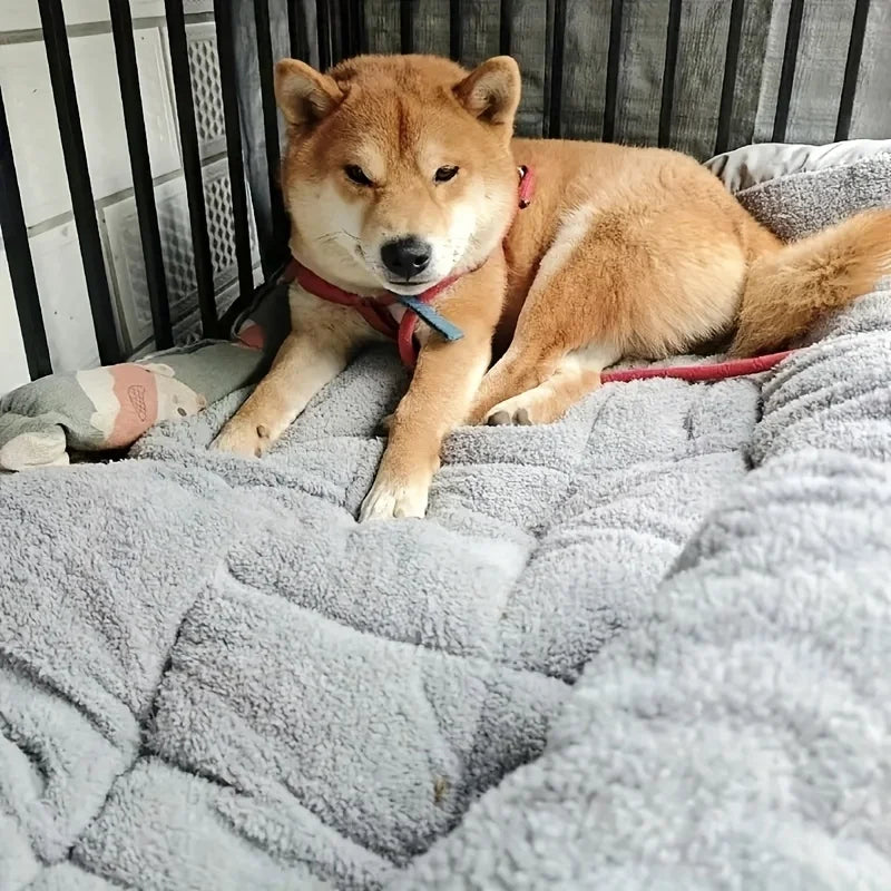 Cosy Nylon Pet Bed – Comfortable & Durable