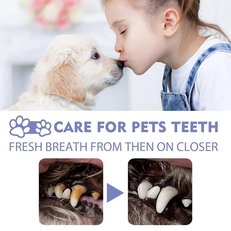 Oral Cleanse Spray – Natural Breath Freshener & Dental Care for Dogs & Cats (50ml)