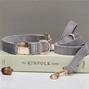 Luxury Velvet Dog Collar with Personalised Tag & Matching Leash