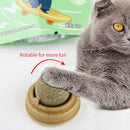 Catnip Wall Ball – Natural Stick-On Cat Toy & Digestive Treat (Cat Grass Snack)