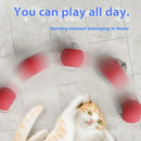Smart Rolling Ball Cat Toy – Interactive Rechargeable Pet Toy
