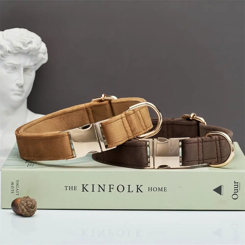 Luxury Velvet Dog Collar with Personalised Tag & Matching Leash
