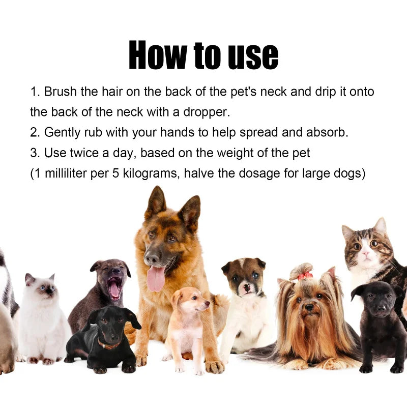 Coat Care Serum – Natural Soothing & Shine Formula for Dogs & Cats
