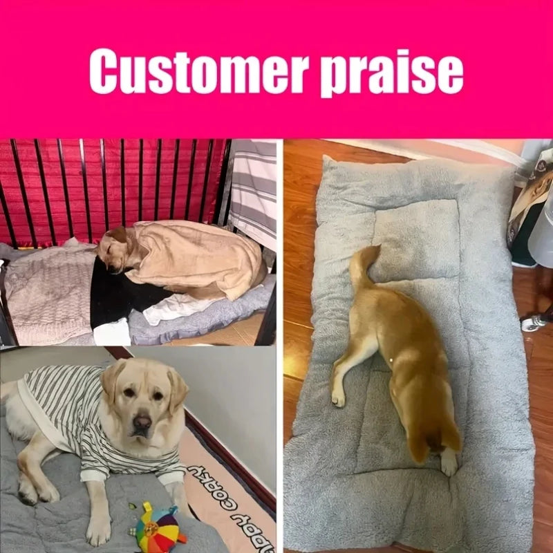 Cosy Nylon Pet Bed – Comfortable & Durable