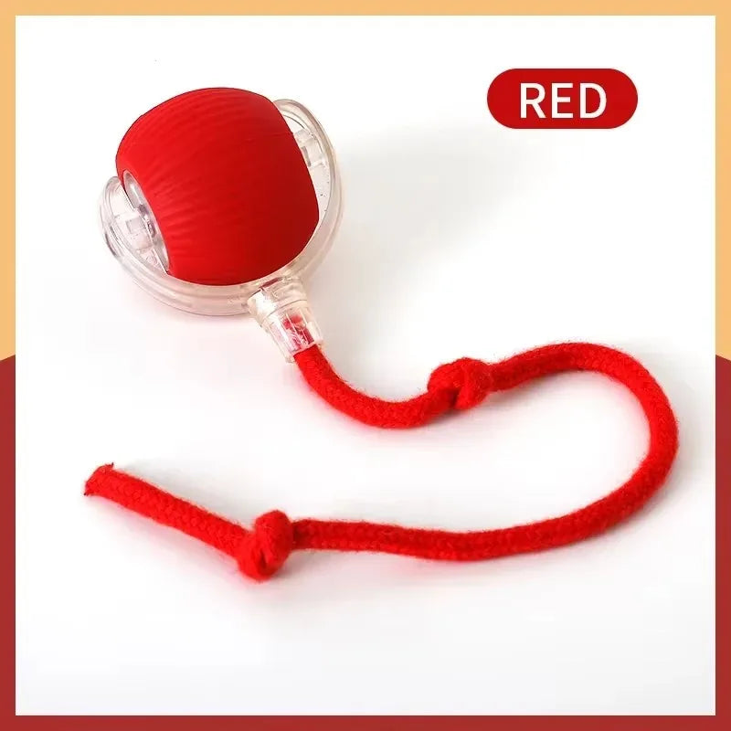 Smart Rolling Ball Cat Toy – Interactive Rechargeable Pet Toy