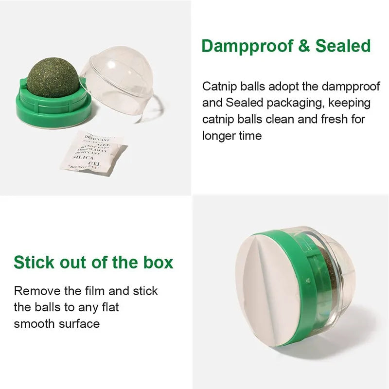 Catnip Wall Ball – Natural Stick-On Cat Toy & Digestive Treat (Cat Grass Snack)