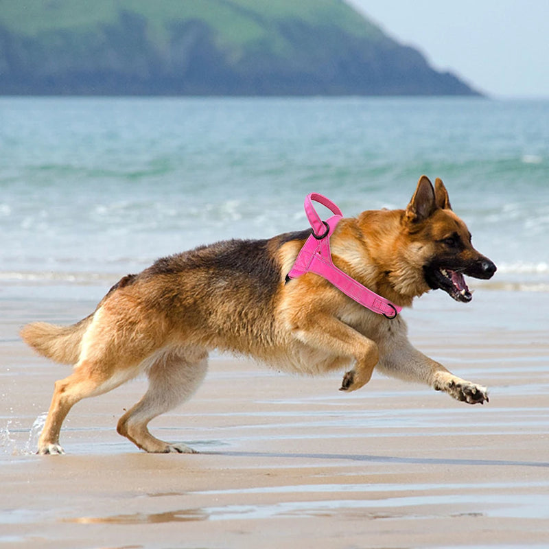 No Pull Dog Harness — Soft, Secure & Reflective Comfort for Every Walk