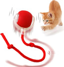 Smart Rolling Ball Cat Toy – Interactive Rechargeable Pet Toy