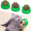Catnip Wall Ball – Natural Stick-On Cat Toy & Digestive Treat (Cat Grass Snack)