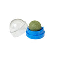 Catnip Wall Ball – Natural Stick-On Cat Toy & Digestive Treat (Cat Grass Snack)