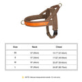 No Pull Dog Harness — Soft, Secure & Reflective Comfort for Every Walk