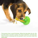 Squeaky Teething Toy for Aggressive Chewers