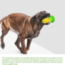 Squeaky Teething Toy for Aggressive Chewers