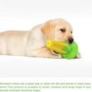 Squeaky Teething Toy for Aggressive Chewers