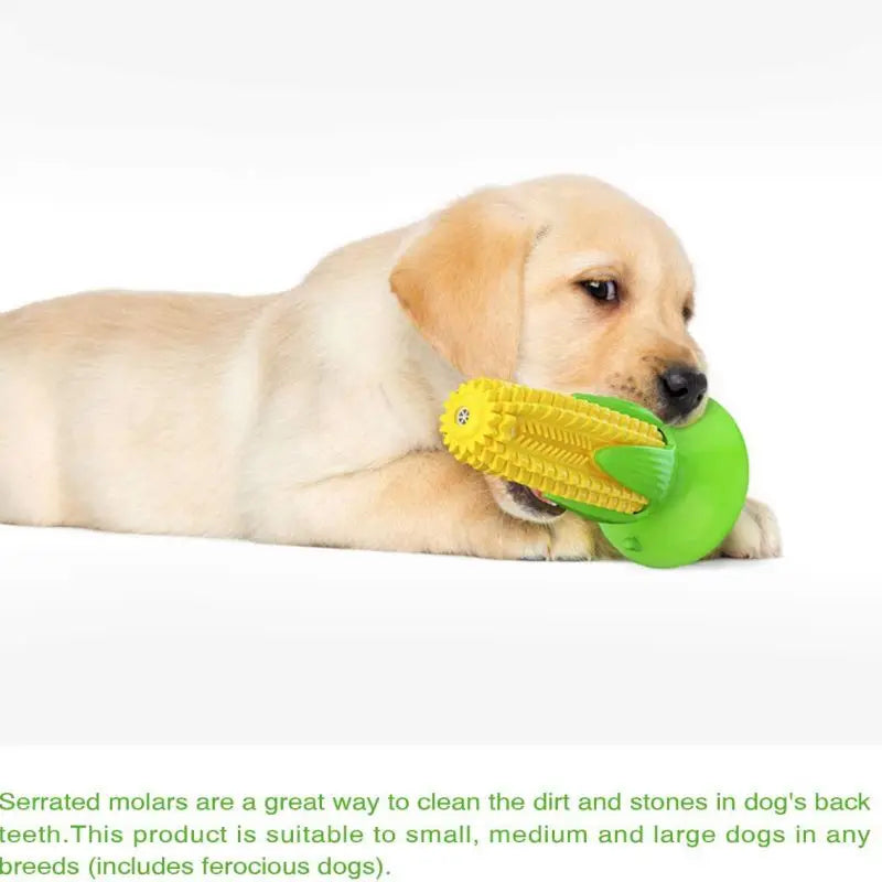 Squeaky Teething Toy for Aggressive Chewers