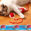 Smart Rolling Ball Cat Toy – Interactive Rechargeable Pet Toy