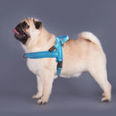 No Pull Dog Harness — Soft, Secure & Reflective Comfort for Every Walk