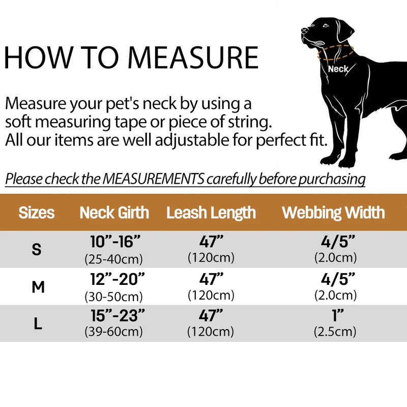 Luxury Velvet Dog Collar with Personalised Tag & Matching Leash