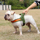 No Pull Dog Harness — Soft, Secure & Reflective Comfort for Every Walk