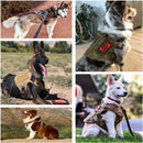 Tactical Harness Set includes a padded vest, leash and Molle pouches — perfect for training, walking and working dogs.