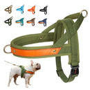 No Pull Dog Harness — Soft, Secure & Reflective Comfort for Every Walk