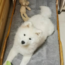 Cosy Nylon Pet Bed – Comfortable & Durable