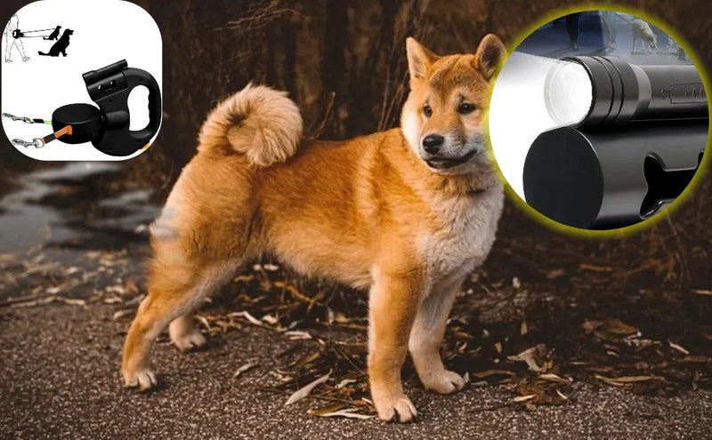 Double Retractable Dog Leash – Dual 360° Tangle-Free Lead with LED Safety Light (for Small & Large Dogs)