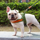 No Pull Dog Harness — Soft, Secure & Reflective Comfort for Every Walk
