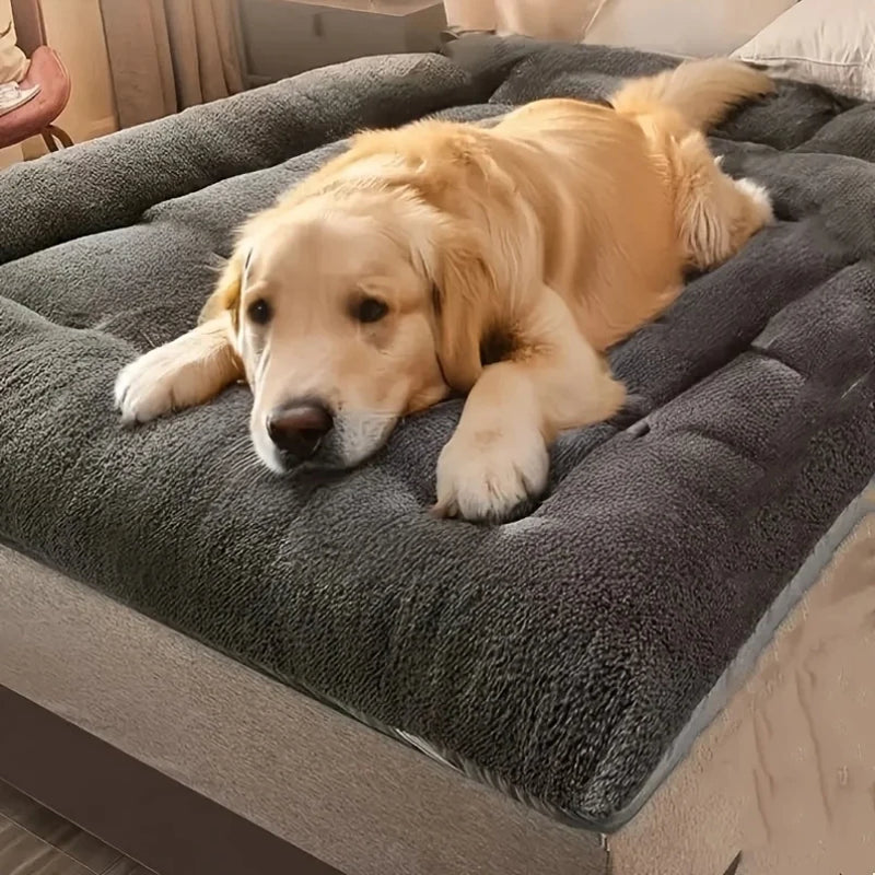 Cosy Nylon Pet Bed – Comfortable & Durable
