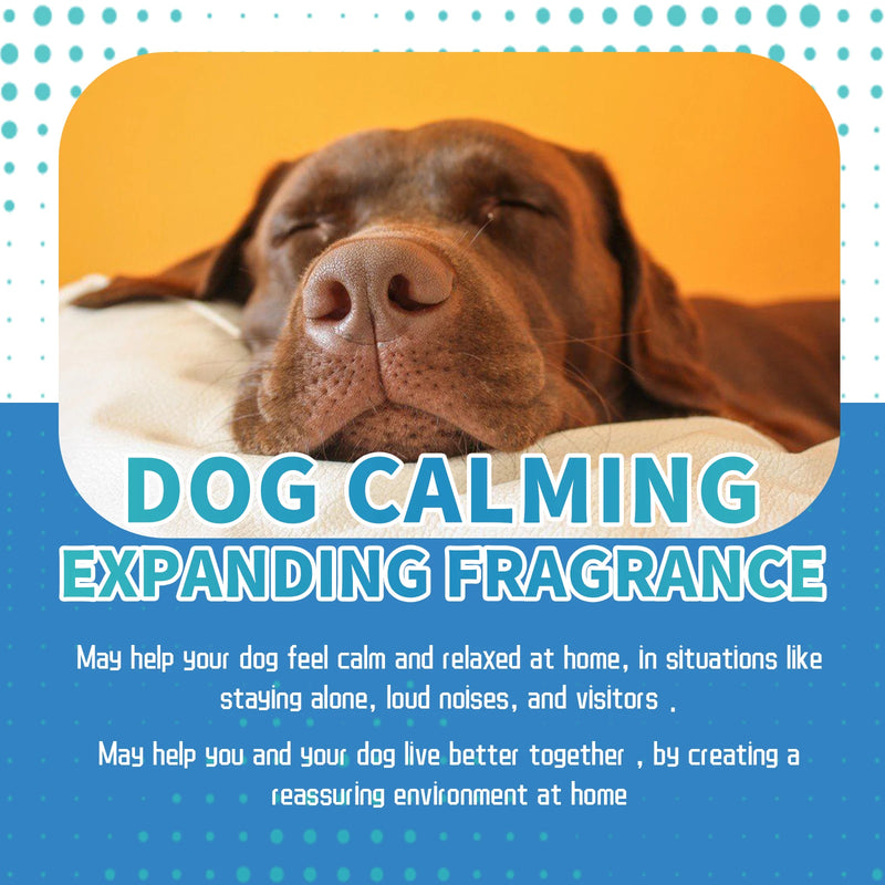 Calming Care Liquid helps soothe anxiety, reduce stress and promote relaxation in cats and dogs — naturally.
