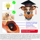 Squeaky Teething Toy for Aggressive Chewers