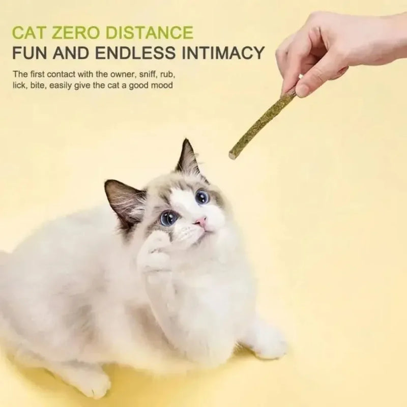 Natural Silvervine Cat Sticks – 6pcs Matatabi Chew Toys for Dental Health & Play