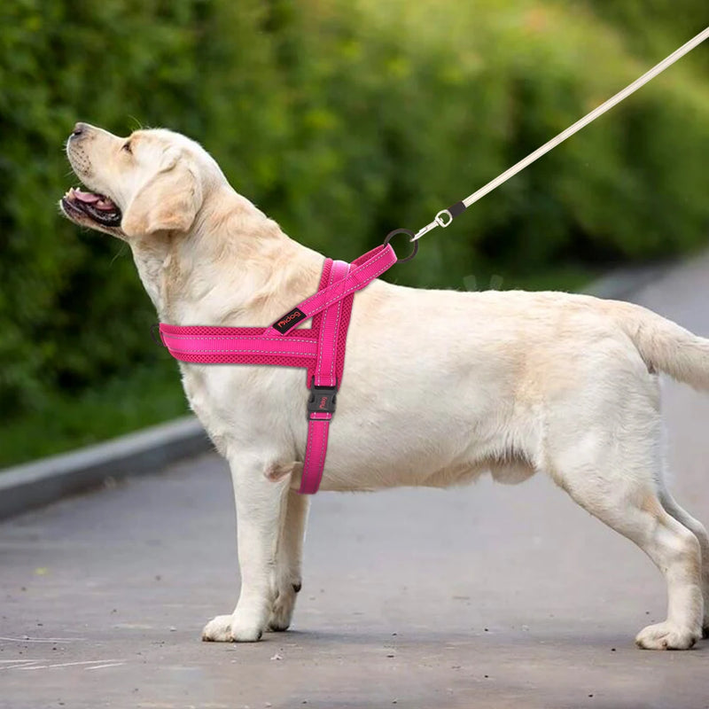 No Pull Dog Harness — Soft, Secure & Reflective Comfort for Every Walk