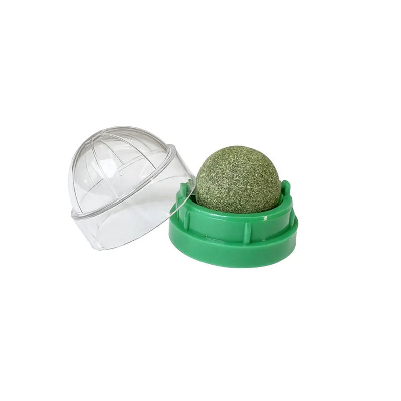 Catnip Wall Ball – Natural Stick-On Cat Toy & Digestive Treat (Cat Grass Snack)