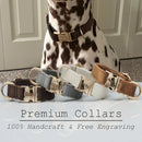 Luxury Velvet Dog Collar with Personalised Tag & Matching Leash