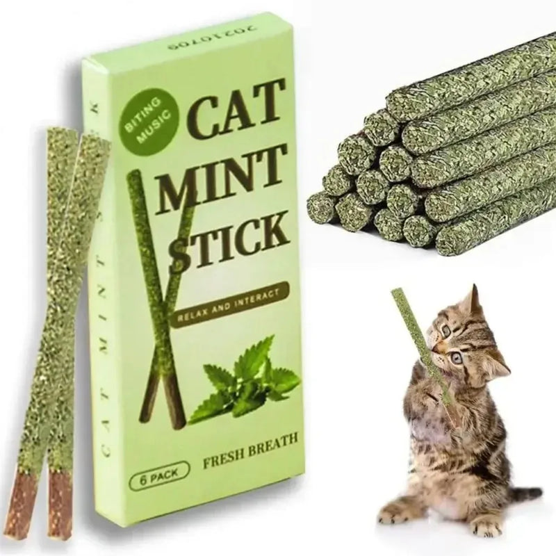 Natural Silvervine Cat Sticks – 6pcs Matatabi Chew Toys for Dental Health & Play