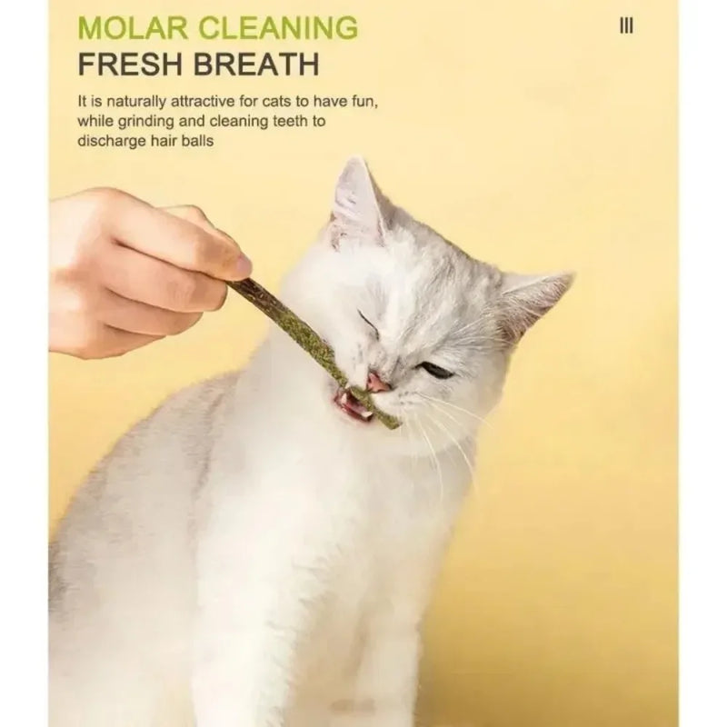 Natural Silvervine Cat Sticks – 6pcs Matatabi Chew Toys for Dental Health & Play