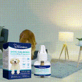 Calming Care Liquid helps soothe anxiety, reduce stress and promote relaxation in cats and dogs — naturally.